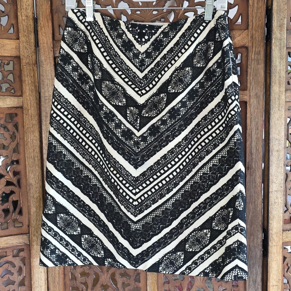 🌟 Alfani Black Lace Skirt